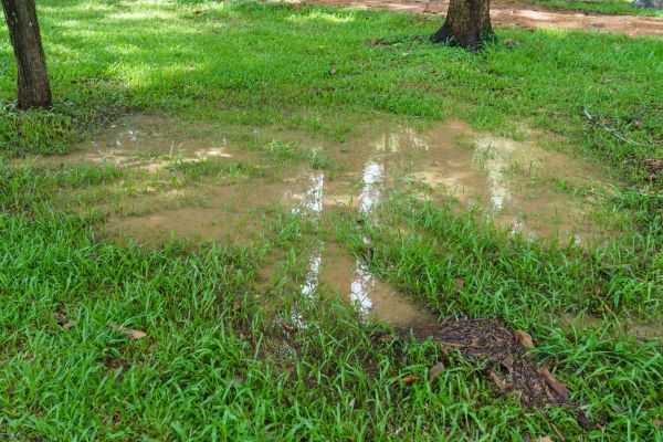 Cost of Storm Water Drainage Service in Lansdale
