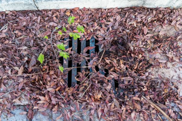 Cost of Yard Drain Unclogging in Lansdale