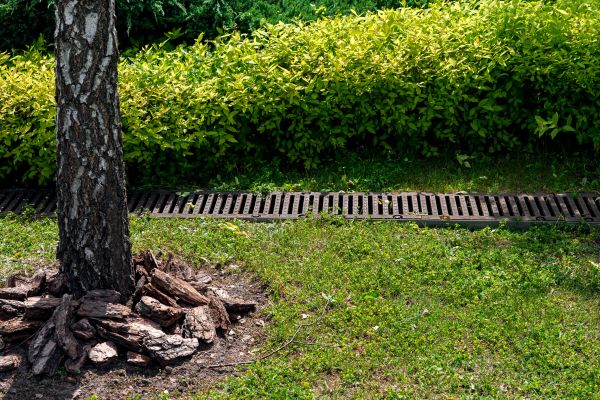 Wet Yard Drainage in Lansdale