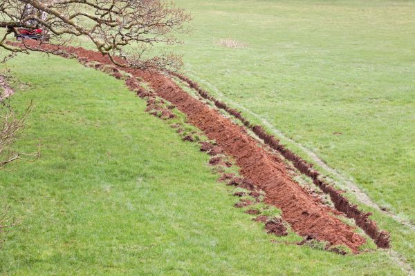 Cost of Swale Installation in Lansdale