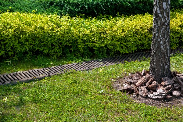 Cost of Residential Landscape Drainage in Lansdale