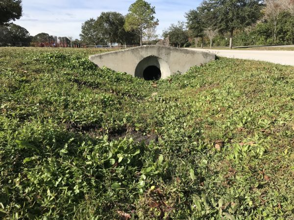Cost of Swale Drainage Service in Lansdale